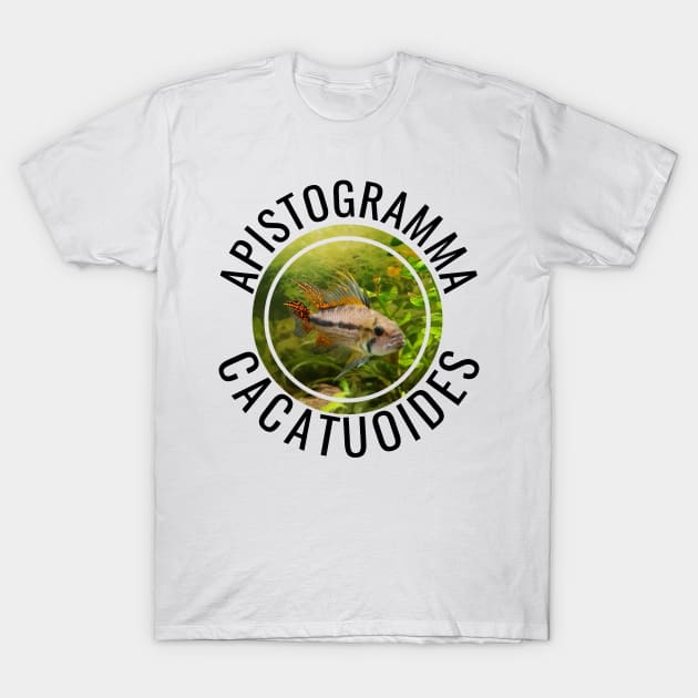 APISTOGRAMMA CACATUOIDES T-Shirt by MaggusK